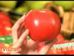 How to Buy Tomatoes